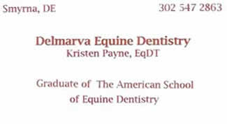 Equine Dentist