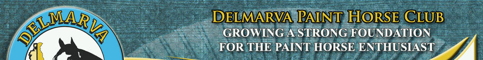 Delmarva Paint Horse Club