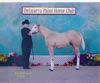 DPHC-Past Shows: Image
