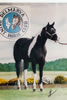 DPHC-Past Shows: Image
